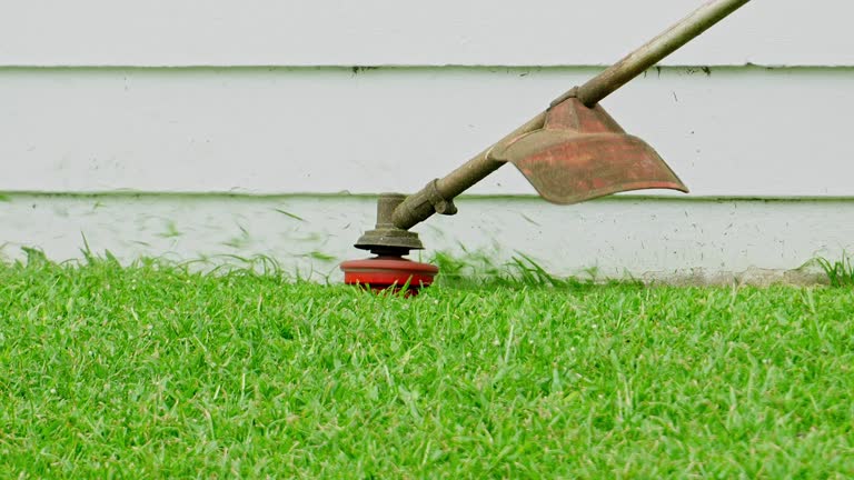 Best Lawn Renovation and Restoration  in Midway, GA